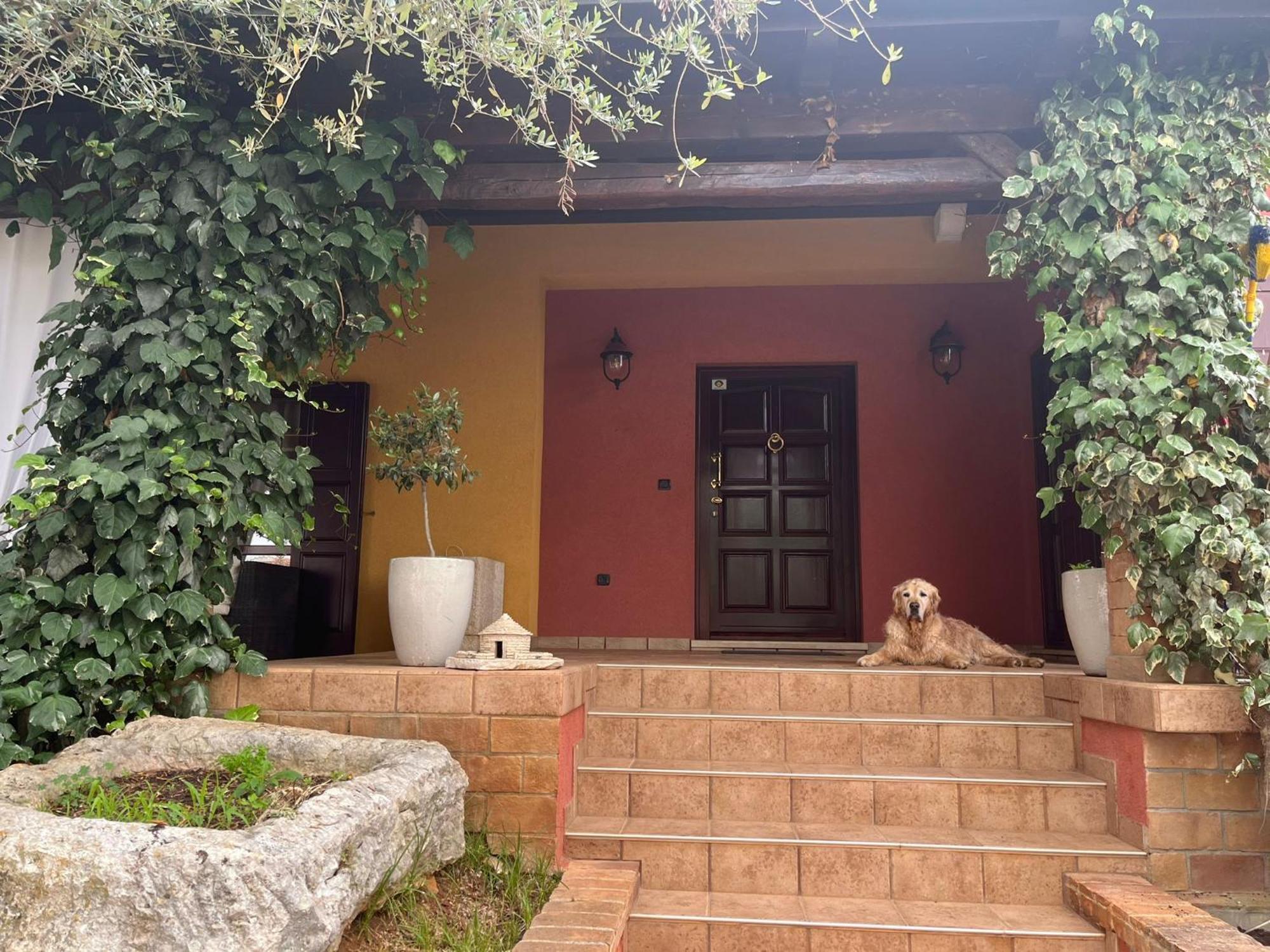 New!!! La Magrina - Bed&Breakfast Vrsar Exteriér fotografie